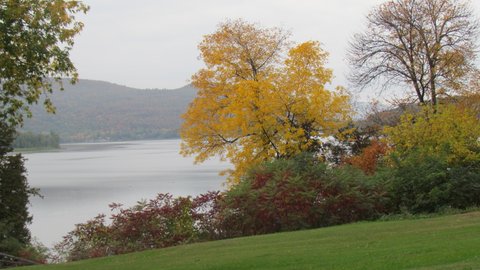 Still Chipman Point marina Orwell Vermont