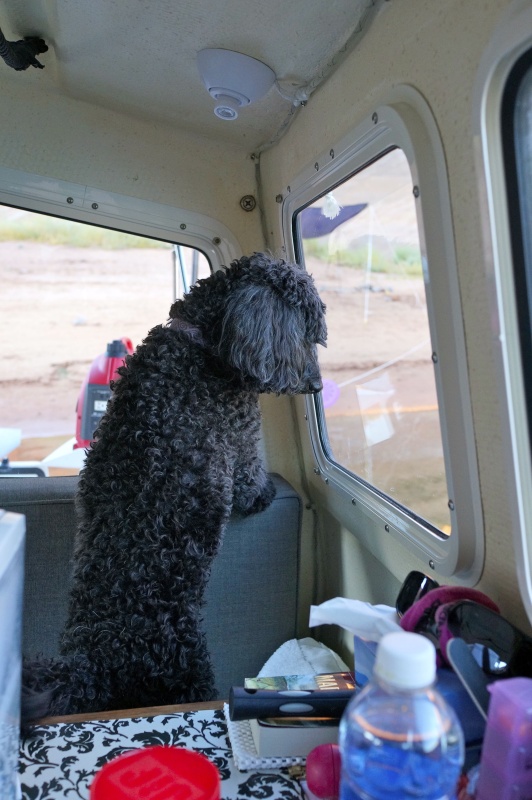 Still looking for fish