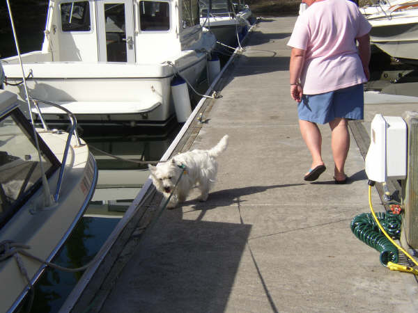Stuart Blakely July 16 2003 034.jpg