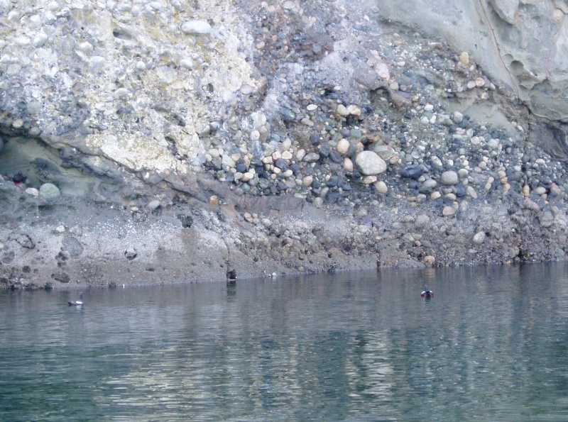 Stuart Island 020