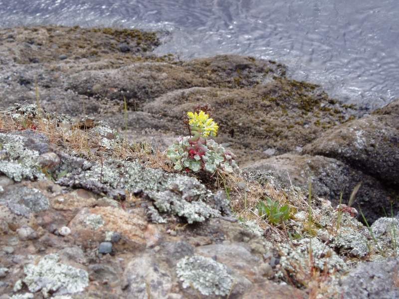 Stuart Island 050