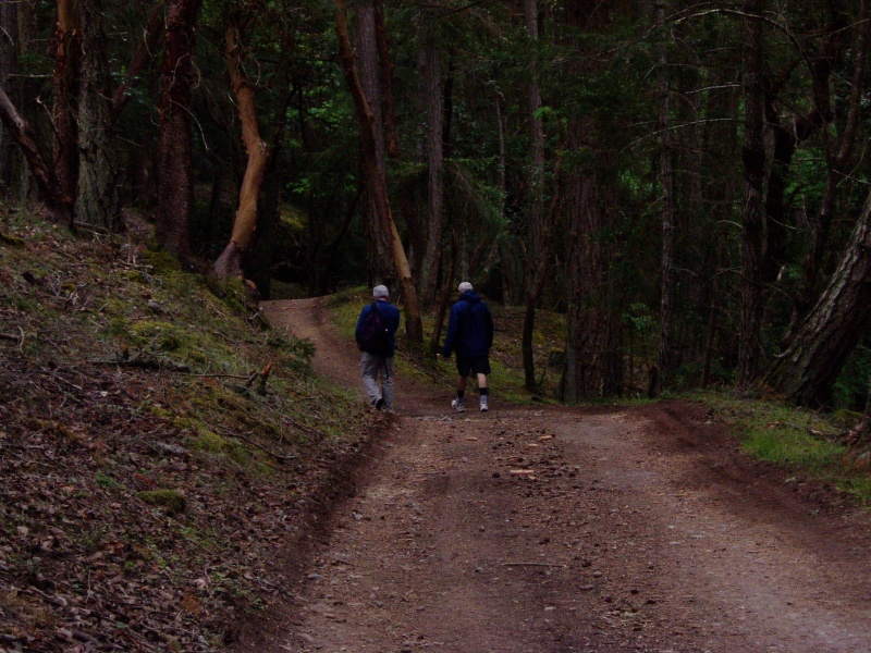 Stuart Island 072