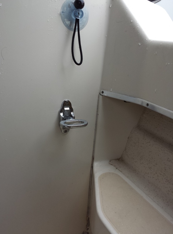Suction cup holders.. many uses
