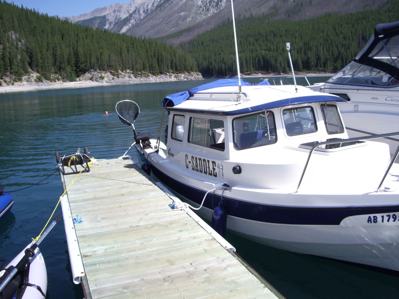 Sue for a swim, Lake Minnewanka