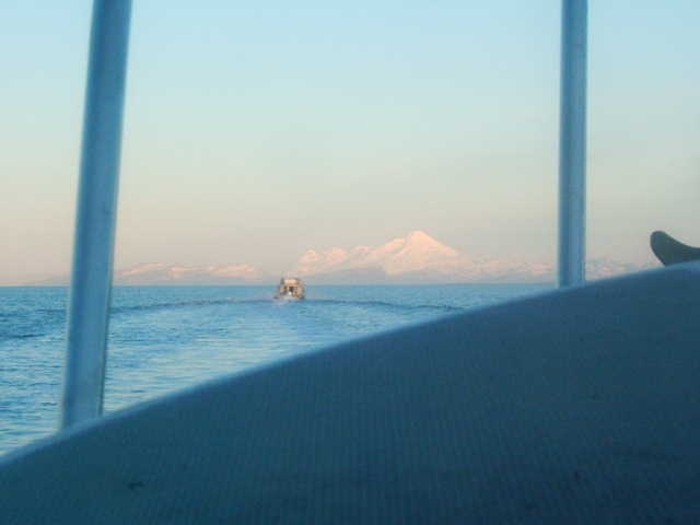 Summer Solstice 2006