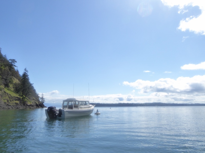 Sunday morning Eagle Harbor