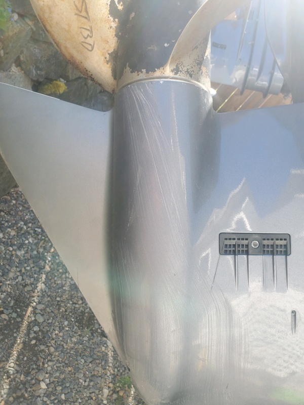 Sunfish prop strike