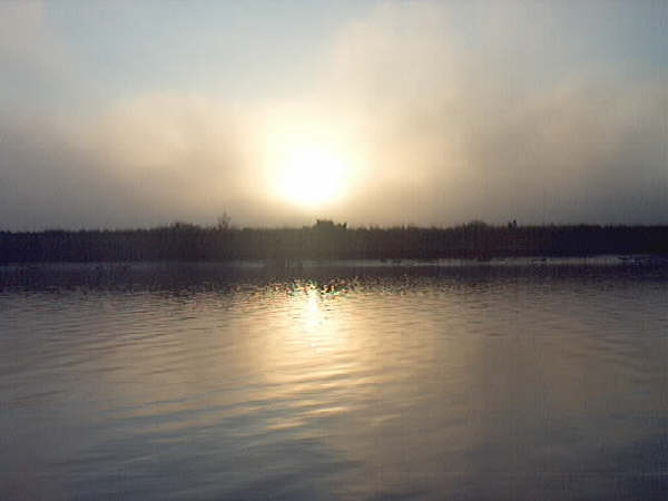 sunrise n-bay 2.jpg