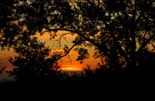 Sunrise on the waterway