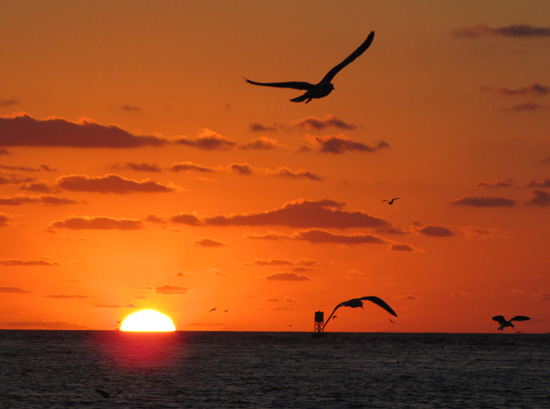 Sunrise