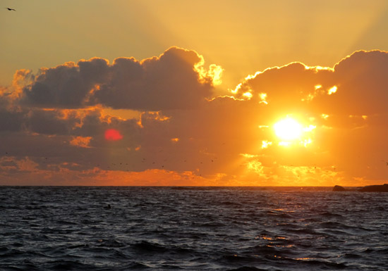 sunrise