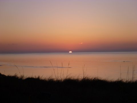 Suns coming up!