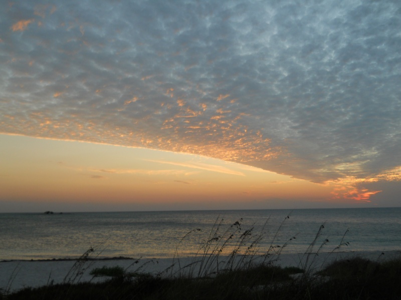 Sunset 4