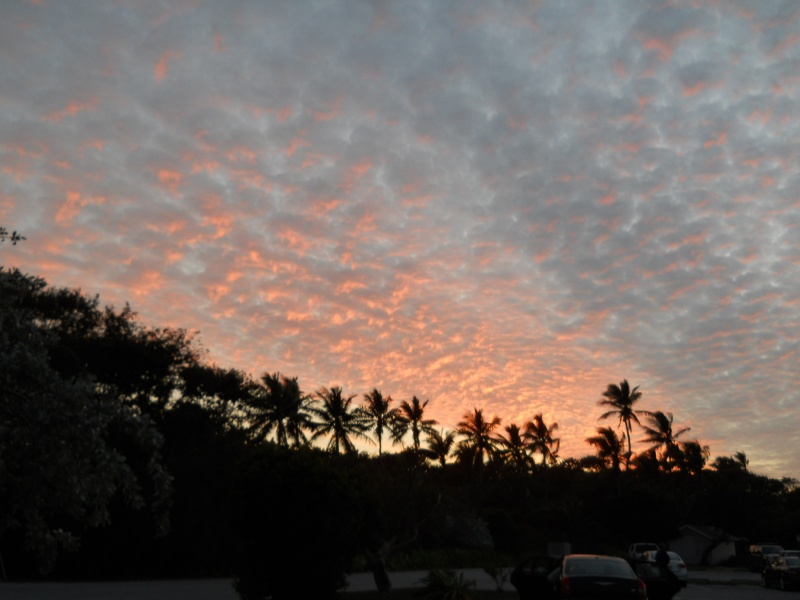 Sunset 5