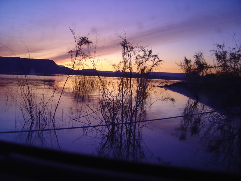sunset in the tamarisks