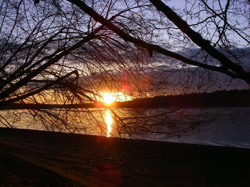 Sunset looking across Pickering Passage from Hartsteine Island