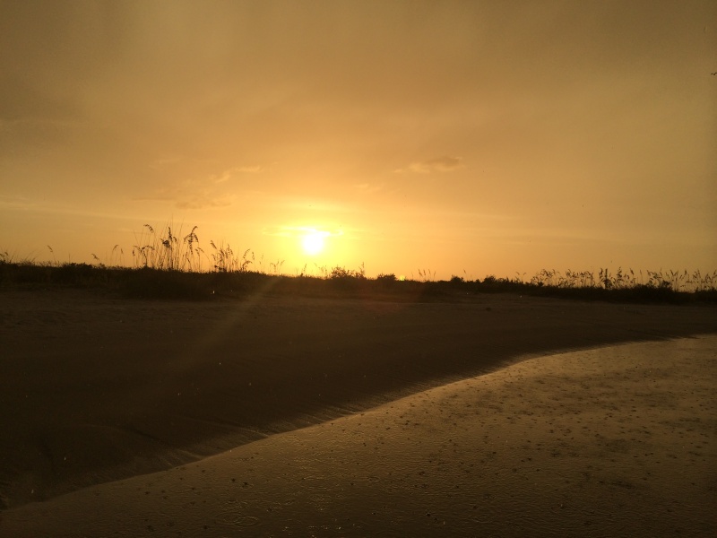 Sunset over the dunes after a good rain.