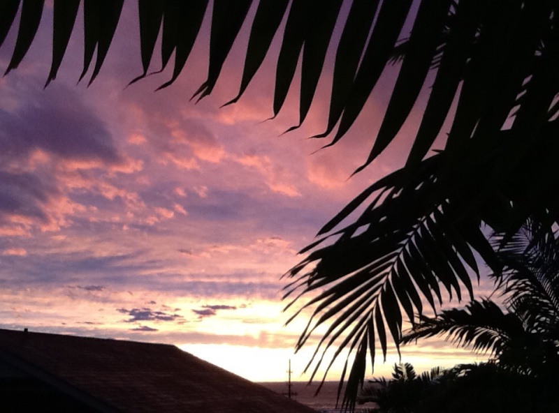 Sunset