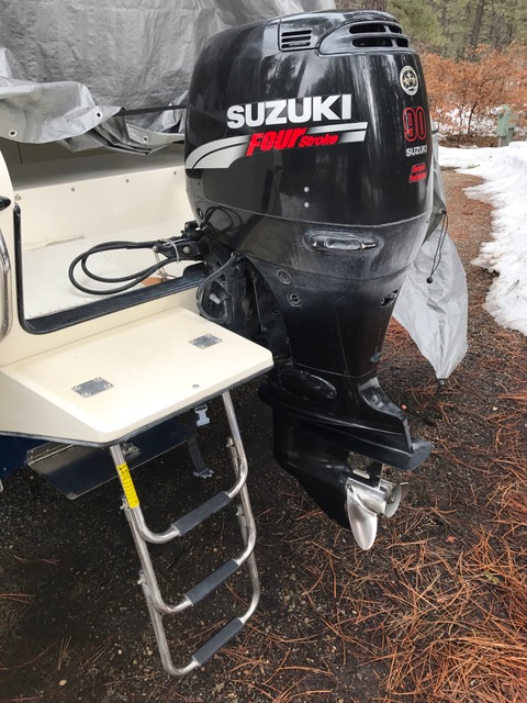 Suzuki DF 90 outboard engine and three step swim ladder on swim step.