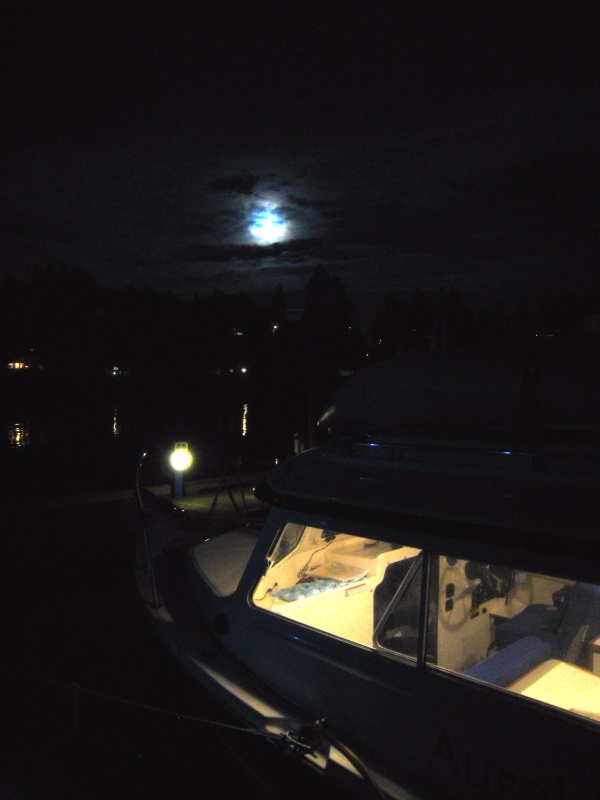 Swantown Marina in Olympia