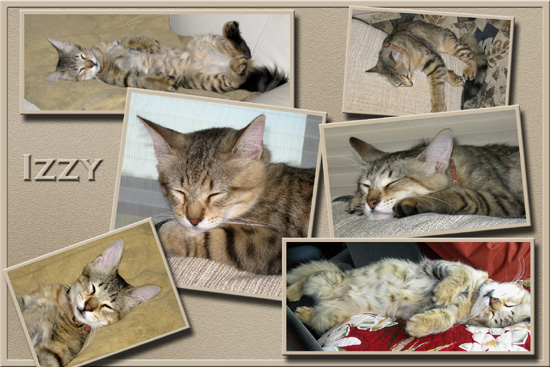 Sweet... when she's sleeping