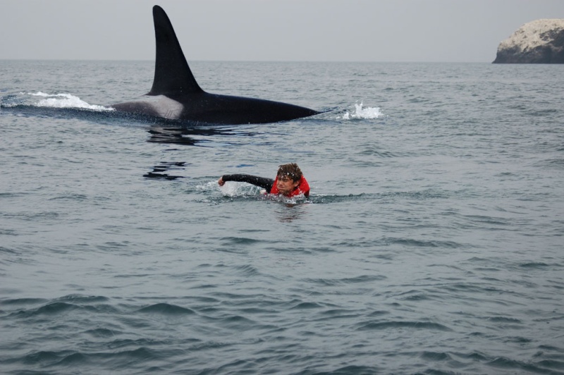 swim jonah swim2