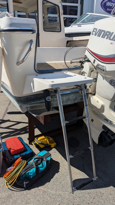 Swim Step and Handle Installed