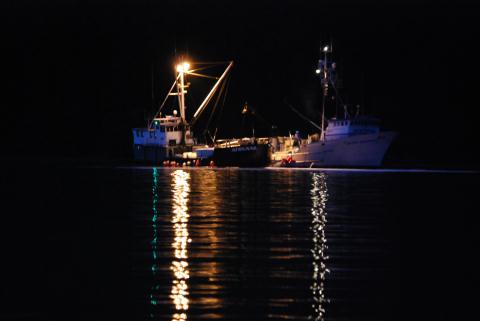 Taku Harbor, off-loading the salmon catch of the day