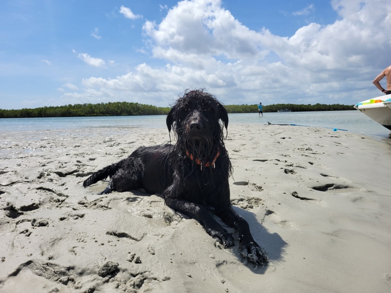Tallulah Living Her Best Life