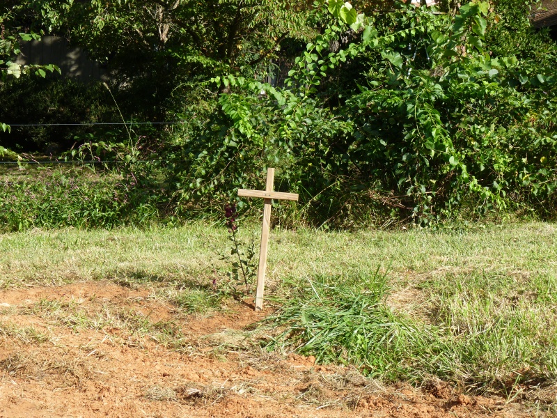 Teddy RIP 1999---- 09/16/2013