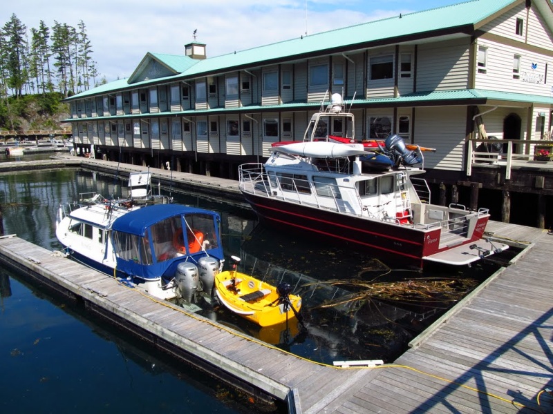 Telegraph cove