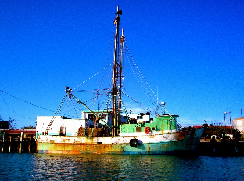 texas 2008 port isabel dixie 034