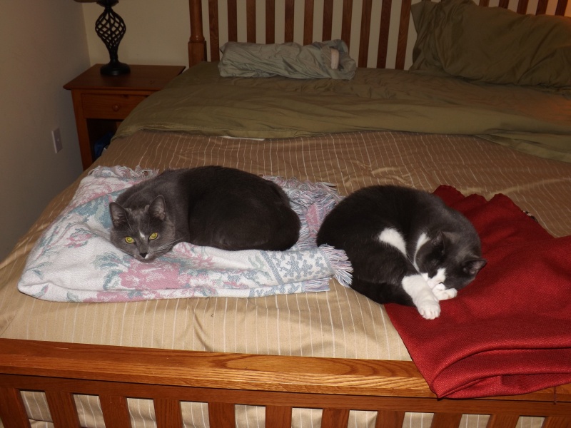 Thank Goodness they sleep sometine!!