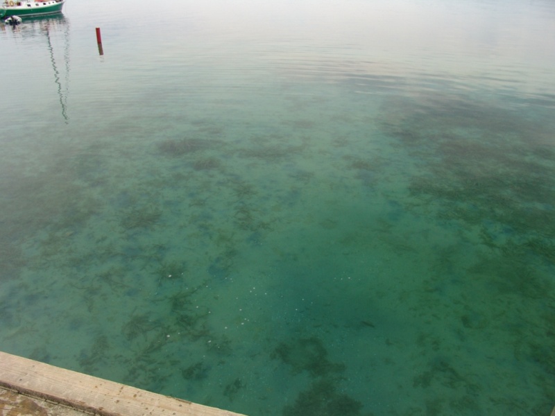 That's about 6 feet deep there.
