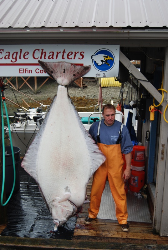 that's what a 98" 400# fish looks like