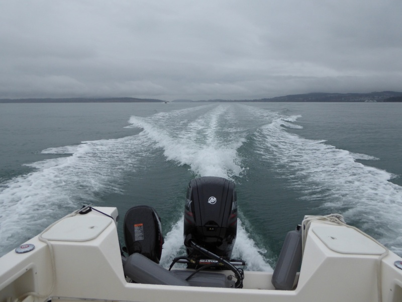 The 25 foot C-dory "C-Change" off in the distance.