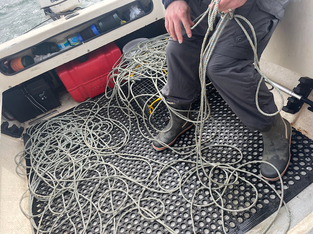 The annual ritual untangling of the shrimp pot rope. We finally got frustrated enough to try out the Beau Mac Rope Winder.