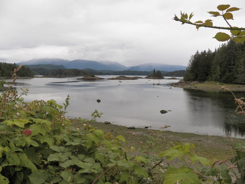 The bay in front of Mamalilaculla, looking west.  Too shallow for motor boats.  Perfect for canoes.