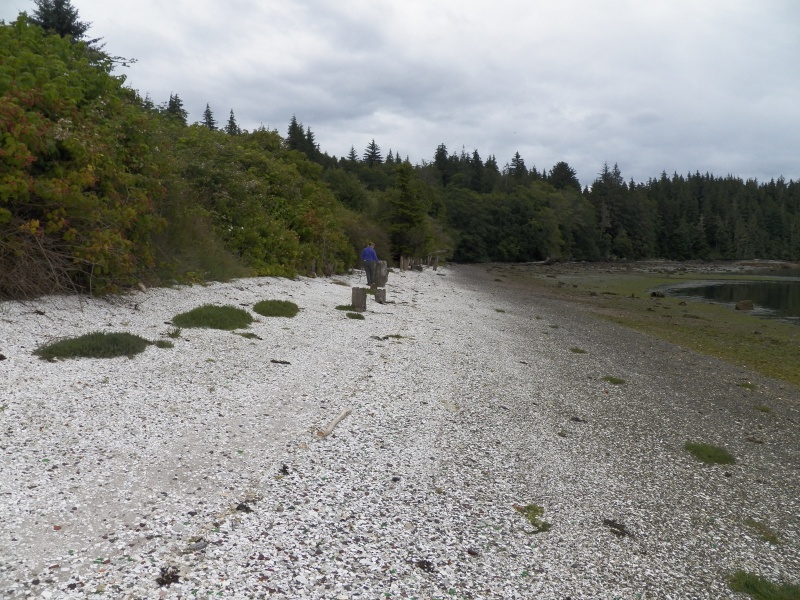 The beach is one giant midden.