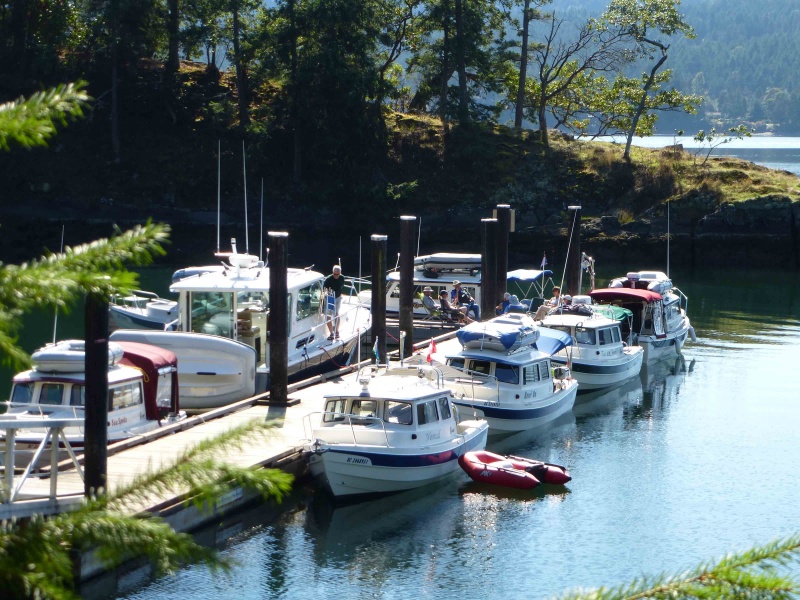 The boats at Conover Cove dock
