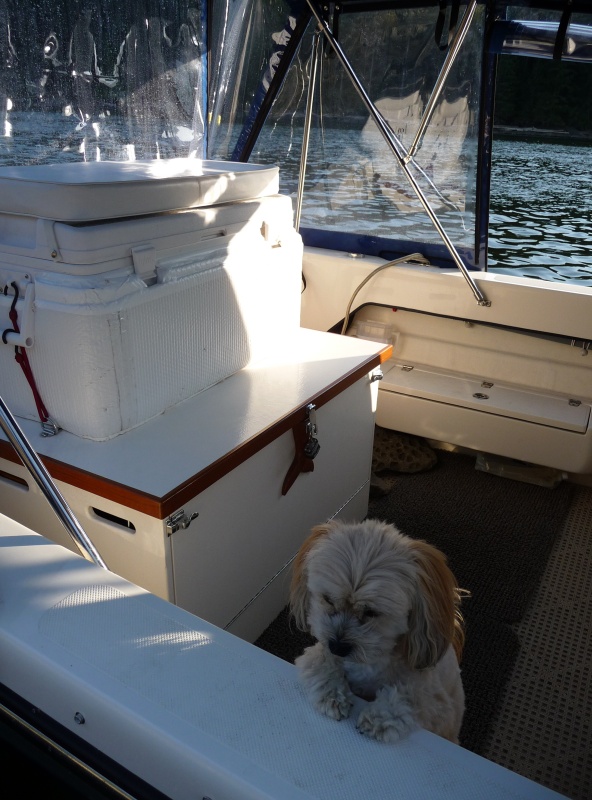 The box behind our pup "CoCo" is a great storage area for the 2 hp honda and lots of the other stuff you carry with you on trips. It's well vented, secure, and opens either in the front or the top. The cooler lives on top and is double wrapped with hot water tank "bubble wrap" insulation. We start out a trip with a large ice water container that keeps for 10-12 days. Then we use the water for drinking.