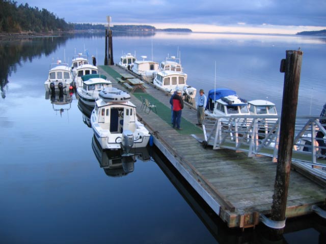 The C-Dory Armada