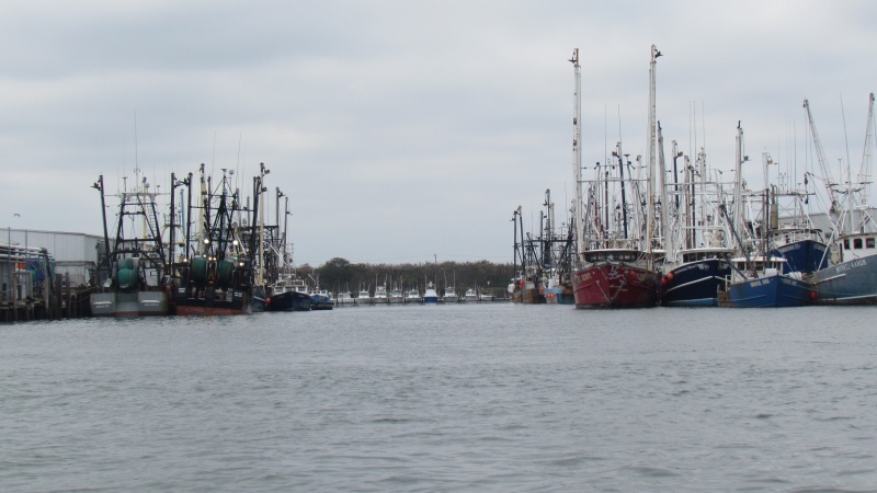 The Cape May Fishing Fleet more