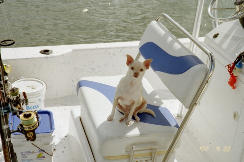 The "Captain" poseing for me.. lol