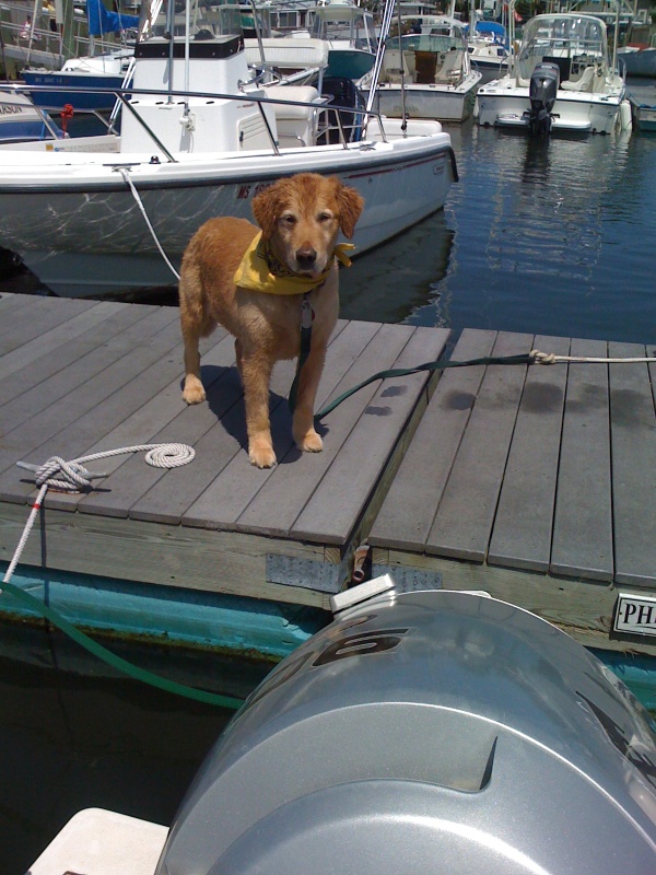 The Capt'n waiting to board