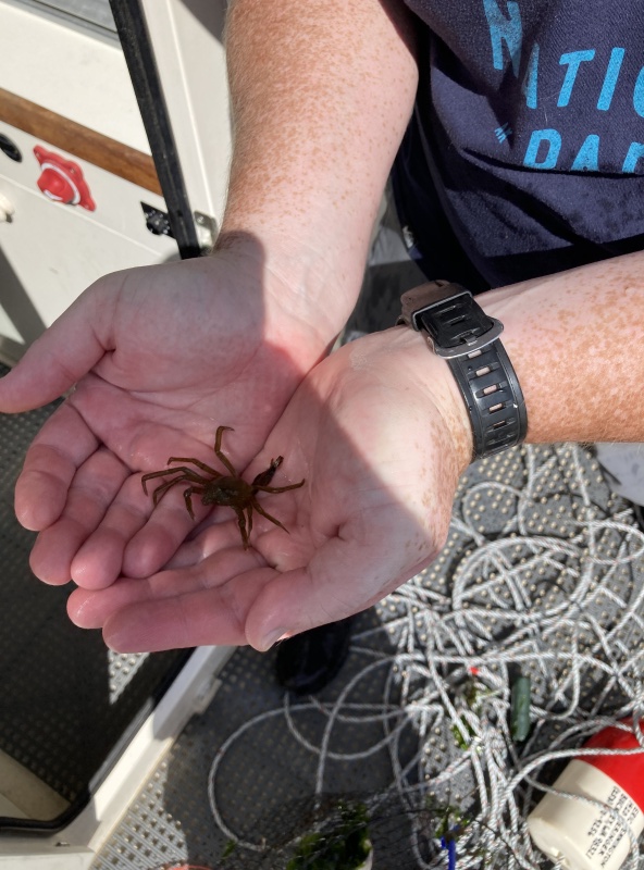 The catch