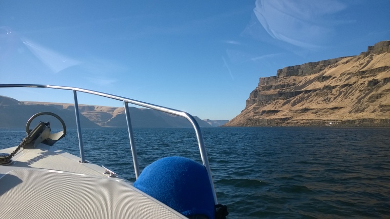 The Columbia