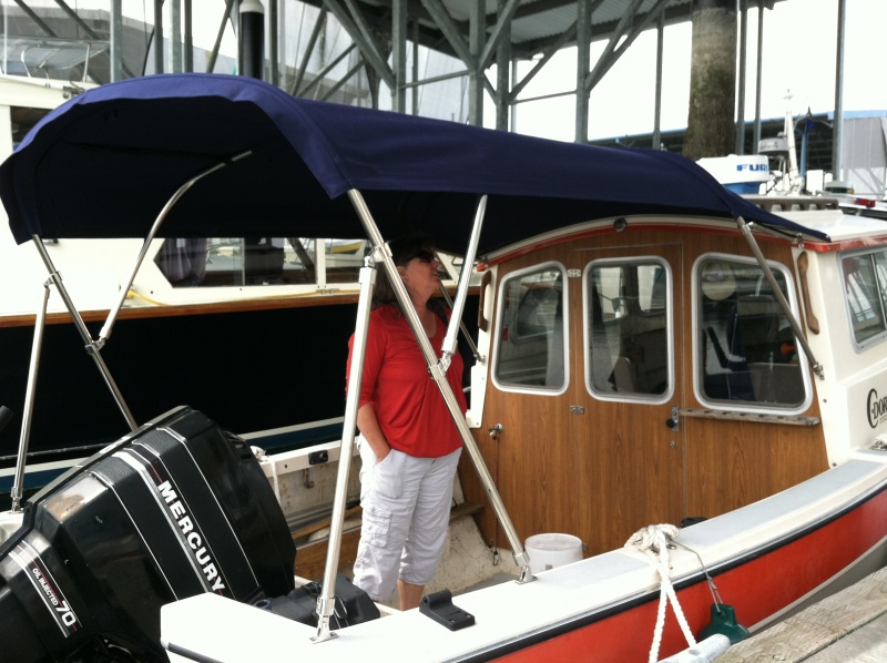 The custom bimini top (with stainless steel bows) is brand new (July 2012).