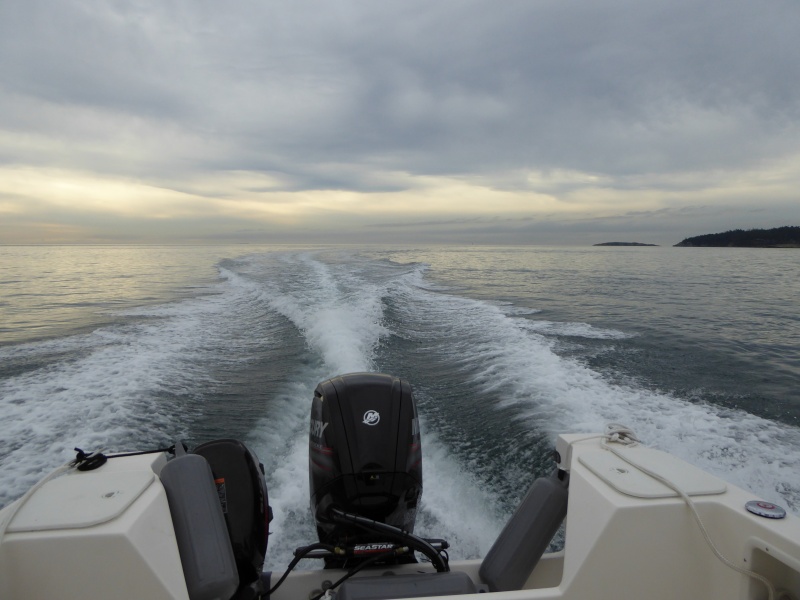 The dolphins finally lost interest and now on my way to Anacortes for the next phase of my 5 day November trip