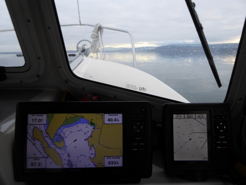 The duck pond known as Bellingham Bay. Or as my boating buddy and fellow C-Brat said, a sweet Christmas gift from nature!
